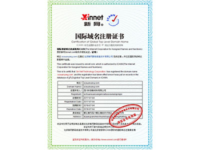 四川軒揚新材料有限公司網站域名證書