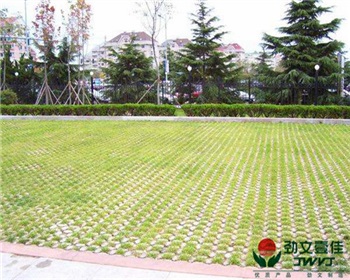 成都綠化植草格