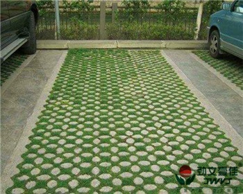 成都停車場植草格