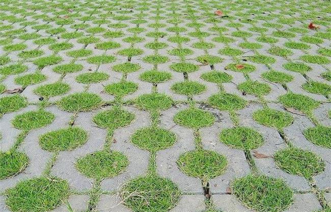 四川生態植草地坪