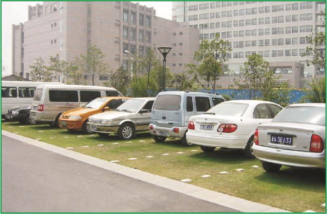 四川停車場植草地坪廠家