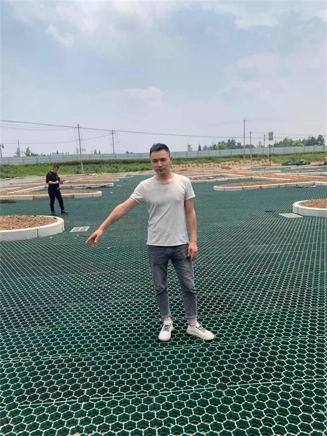 成都植草格施工案例