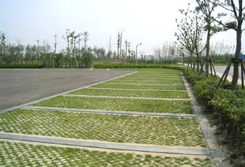 成都植草地坪廠家分享：植草地坪在冬季如何養護？